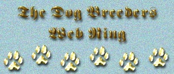 dbgraphic.jpg (28058 bytes)