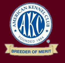 Wachusett American Eskimos is recognized as an AKC Breeder of Merit