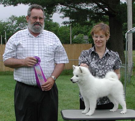 Wachusett American Eskimos - NevaeH is seen here at exactly age 16 weeks with Judge Roland Pelland being awarded her second Best Puppy in Show at the UKC AEDCONE shows in Westfield, Massachusetts.