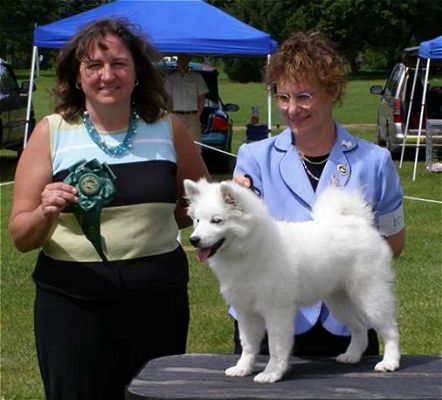 Wachusett American Eskimos - NevaeH is seen here at 4 1/2 months of age with Judge Helena Engelauf being awarded her third Best Puppy in Show at the UKC FLAEDA show in Locke, News York.