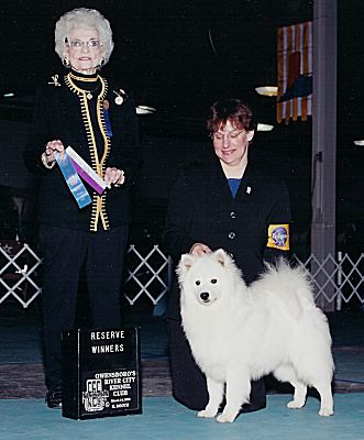 American Eskimo Dog Breeder - Wachusett American Eskimos - Alpine's He Walks W O Sound - Reserve Winners Dog - March 14, 2002