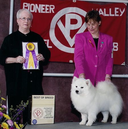 American Eskimod Dog Breeders - Wachusett American Eskimos - BeSota's A Beautiful Dream - Mrs. Kathleen Grosso - Pioneer Valley KC - Springfield, MA