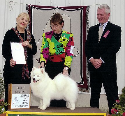 American Eskimo Breeder - Wachusett American Eskimos - Aiyana takes a Group 4 at York County Kennel Club, Acton, Maine - May 5, 2007 under Mrs. Susan M. Carr.