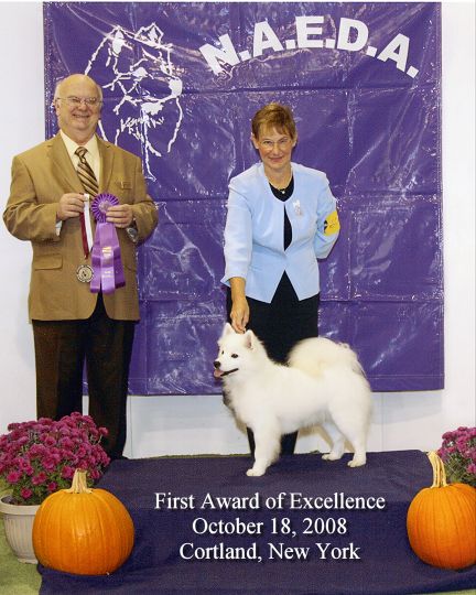 Wachusett American Eskimos - Aiyana receives First Award of Excellence at UKC 2008 National!