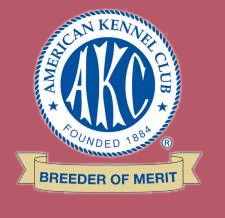 Wachusett American Eskimos, an AKC Breeder of Merit