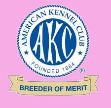 Wachusett American Eskimos, an AKC Breeder of Merit