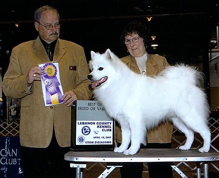 Tacoda with co-owner Linda Kelly and Canadian judge Mr. Butch MacDonald.