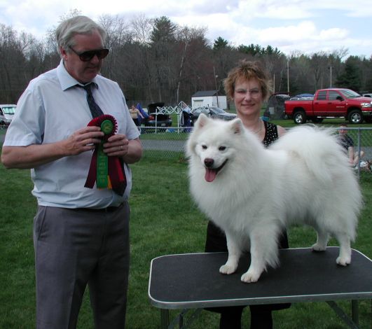 Wachusett American Eskimos - Group 2 with Mr. Patrick O'Donnell, and Eskie breeder/judge.